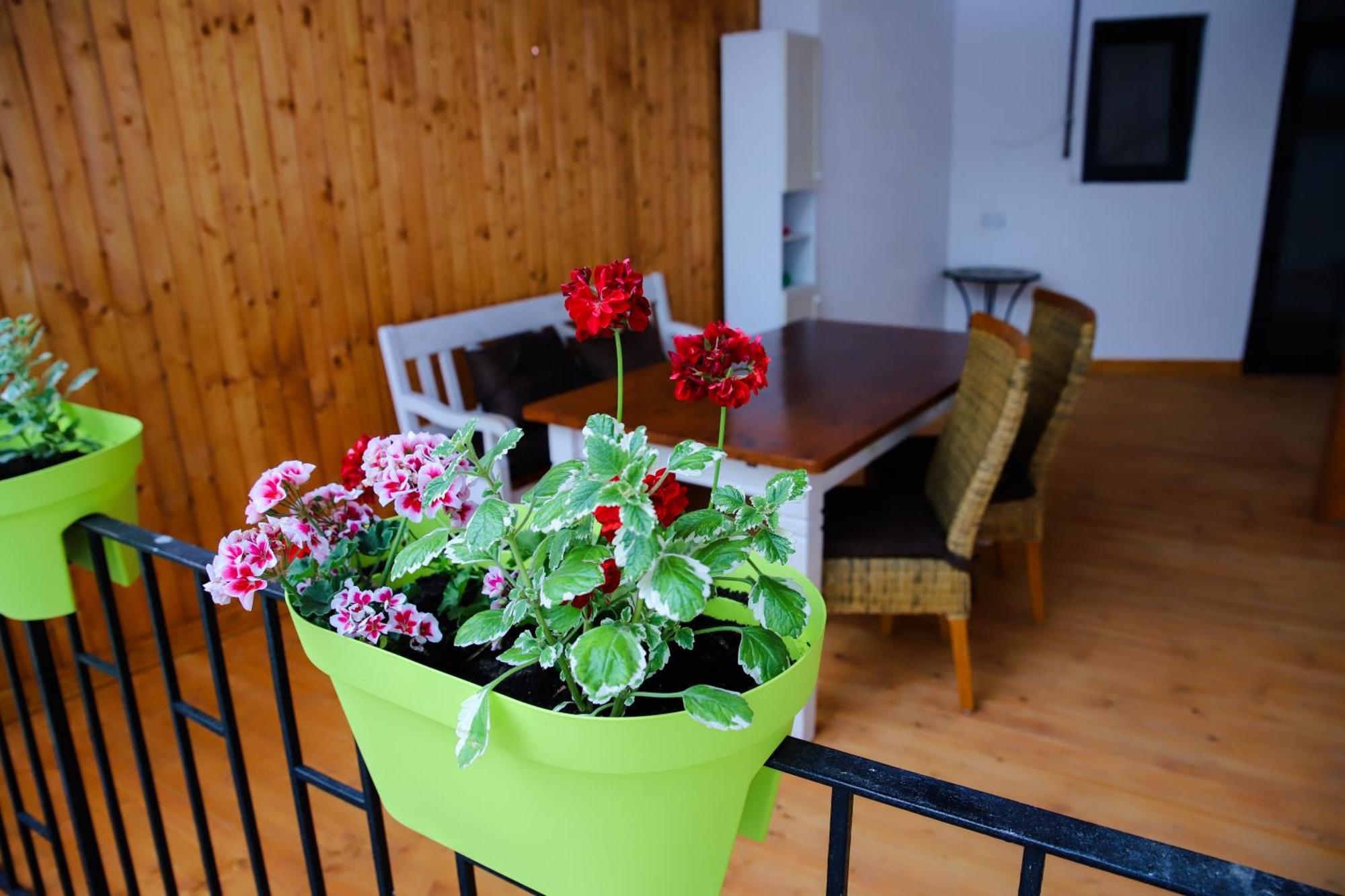 Floasiu Residence Guesthouse Sibiu Exterior foto